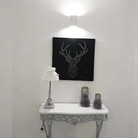 House 41